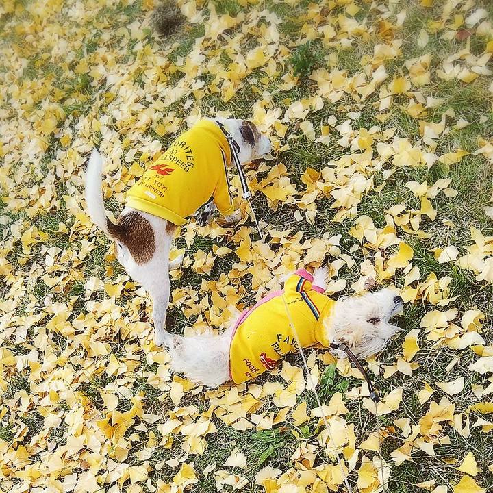 F30277eb dd60 45ac 95f4 c1175bbd7f33 1575786193872