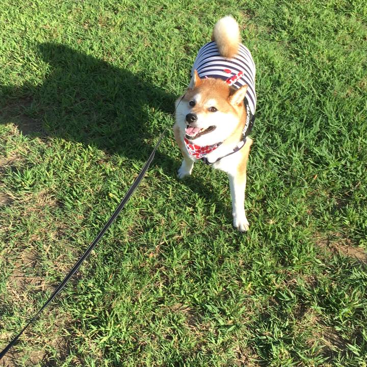 F302956d 7e5a 4f71 92cf f9b63c227e24 1534379226227