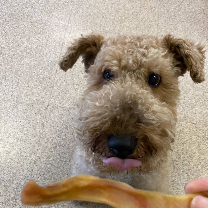 F302a5bc ee21 4f89 94ea de86e8ef55eb 1633654972103