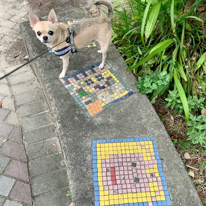 F302af9c edce 458e b5d3 8382d7d4307f 1632094628055