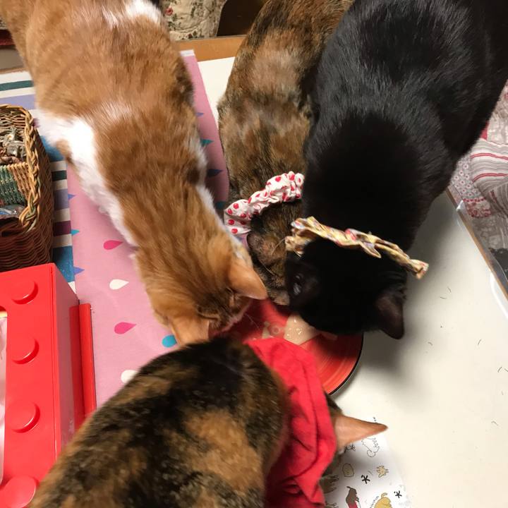 F302b54c e5cf 4027 91de ce357153d63c 1620568042074