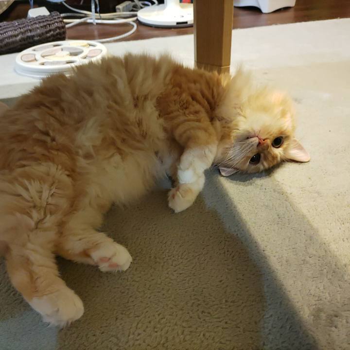 F302bc66 ce31 494a b9f5 2c76a3af878d 1684420409471