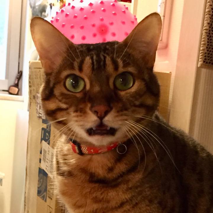 F302e20f c400 4639 af04 fc7d1d237f0e 1541287891835