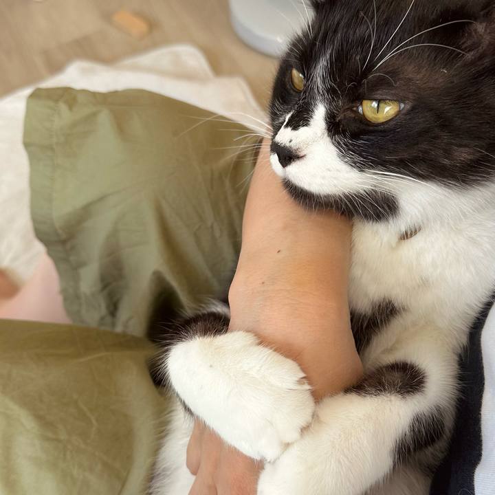 F302f867 3d78 43e9 85e8 12215878f814 1757141965168