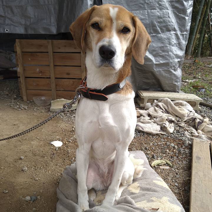 F303278e 1b69 4456 af27 a8a4aa2d411c 1642770502295