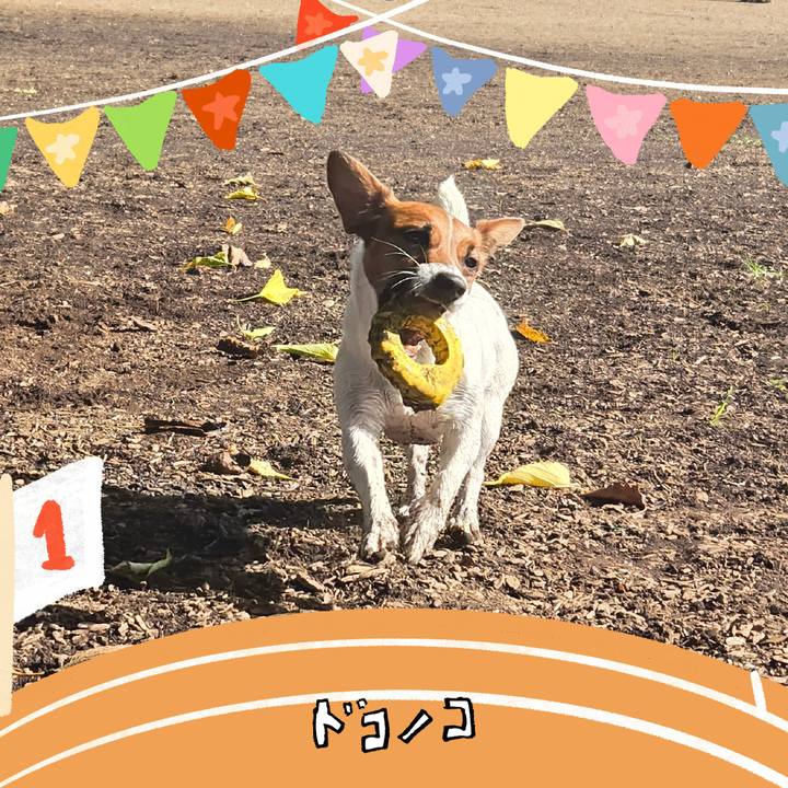 F30375b6 94cf 49cf a0a0 59355a34c27a 1761106650586