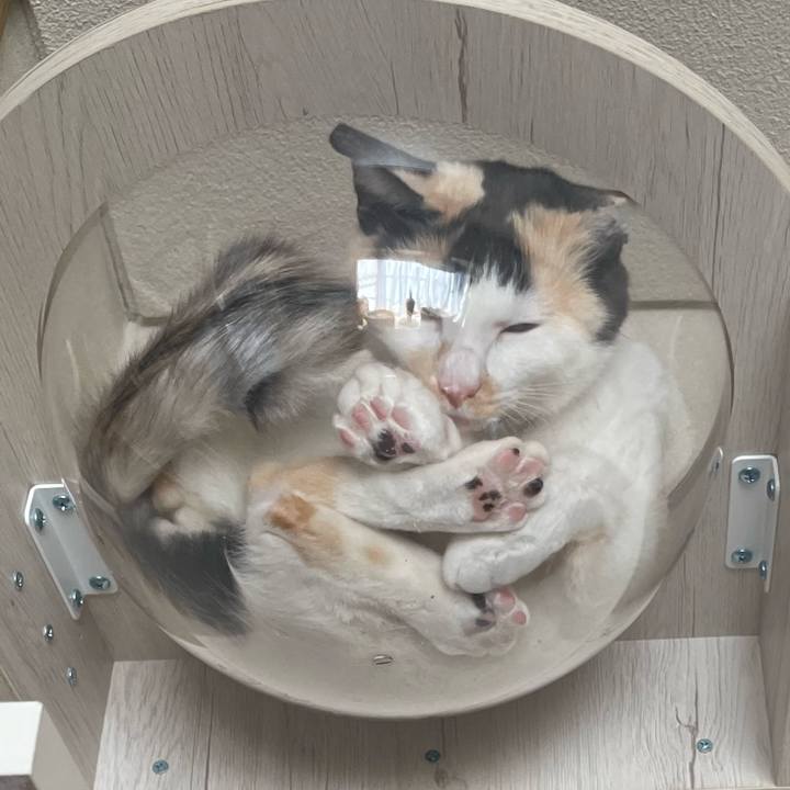 F30375ec e242 4f2b 9acf db5da1422f3c 1736755001830