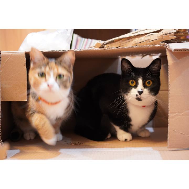 F303af30 ad8f 4335 8aa9 dc42df0568d5 1623901253229