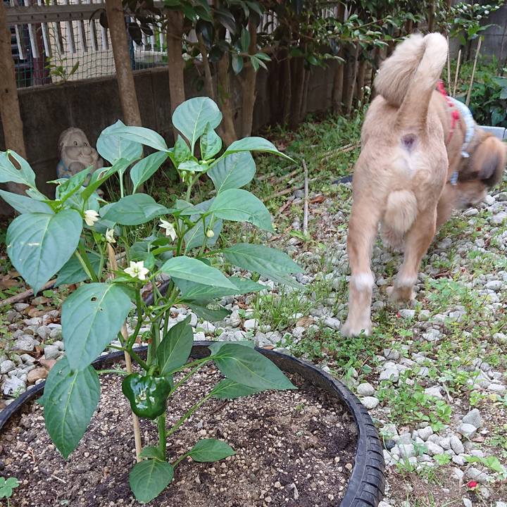 F303be7f 1577 4f9a 8ece a4c3bbe29c43 1558518223551