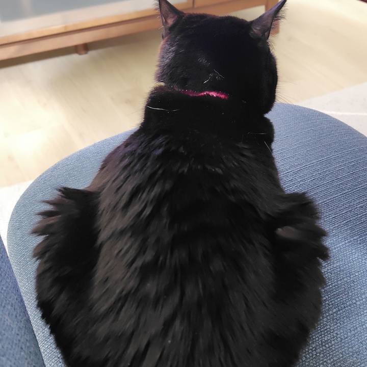 F303c316 dc60 41dc 9bac d62d2cec0642 1763984676252