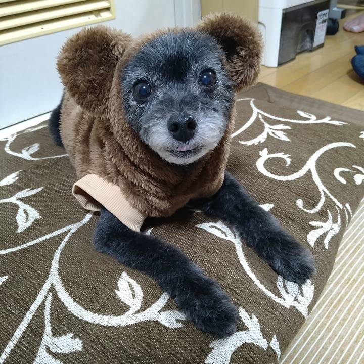 F303c7cc 64b4 4045 85f1 aa3de396c23e 1697980699730