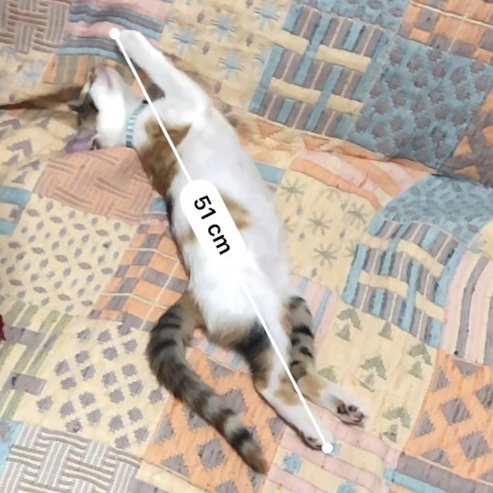 F303c9b5 5649 4e2d 8ca0 b94691f67f3c 1564228777428