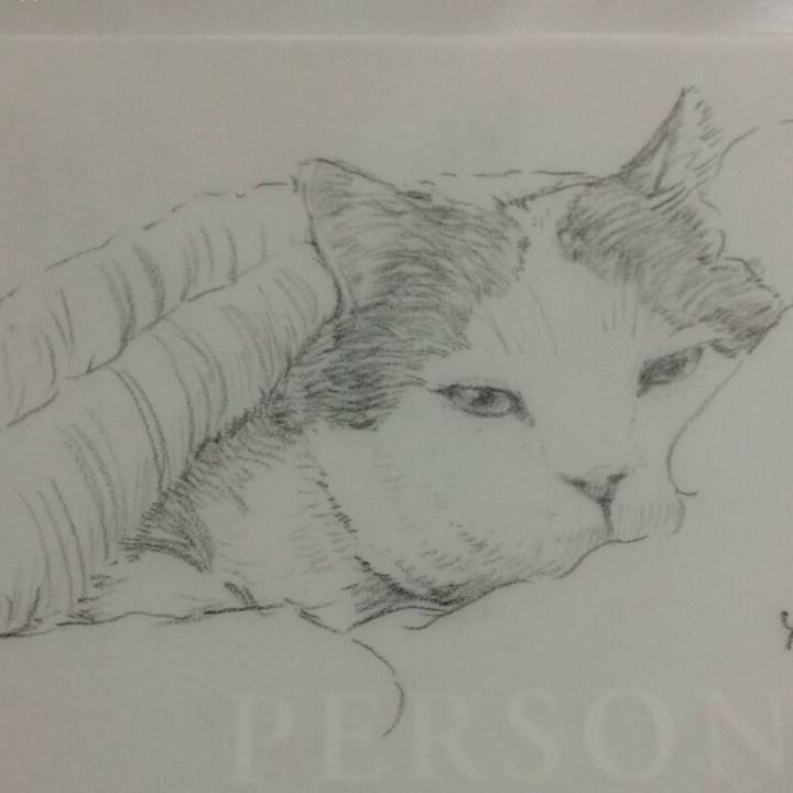 F303dbc3 9d52 4592 b76e 77bff83e76c3 1508309881079