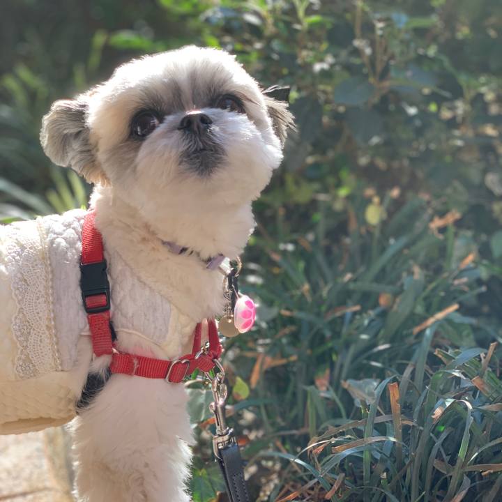 F3045c1b acdc 43af bb51 c87369e61a1a 1548232983878