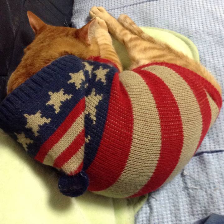 F3046bc6 a32a 4548 9da4 d3d743cafb7a 1542199765441