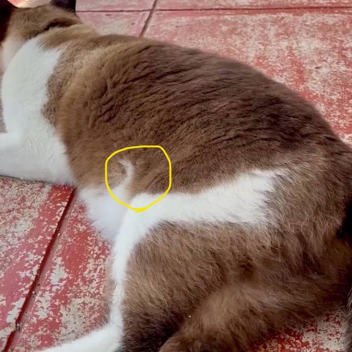 F3047bd7 7c25 433c 807a 24c345ebc212 1752201402335