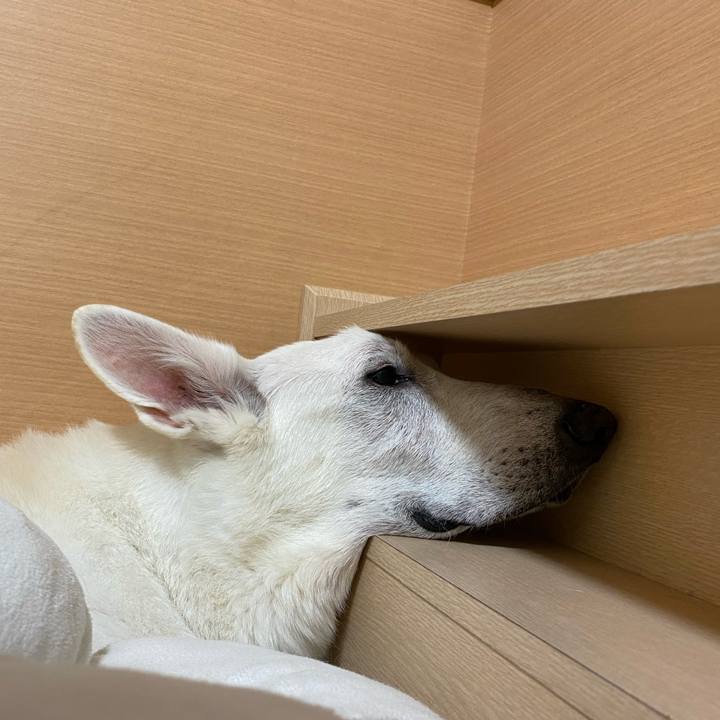 F3049280 25ad 4cb1 9746 c929b4a46acd 1612756183097