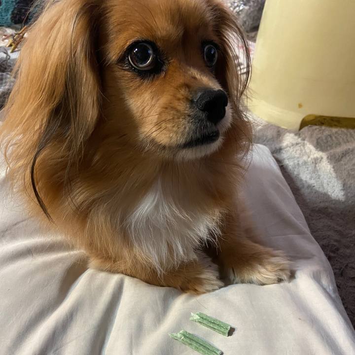 F304abe5 0b04 49ae b11d 7cc64b72190b 1636495329749