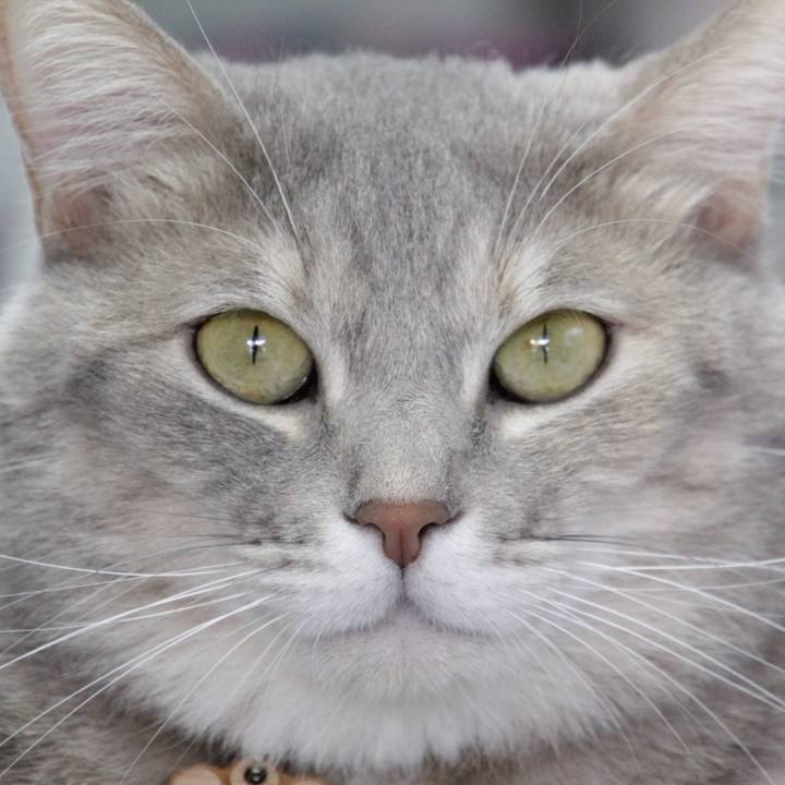 F304b514 a3cb 4685 a82c df77c4b27d77 1573008284476