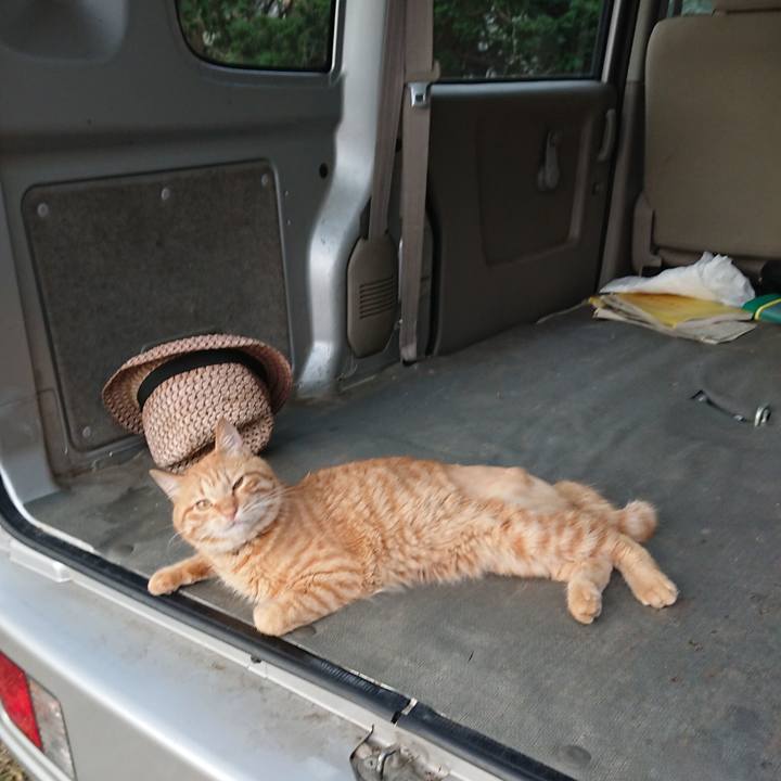 F304c04a 77f0 4426 9247 da2eeff33af7 1657573299088