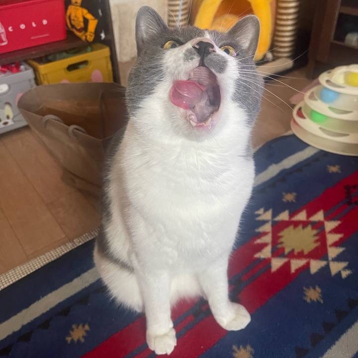 F304e59f 0e88 4962 88db 7745e826ea35 1684276807004