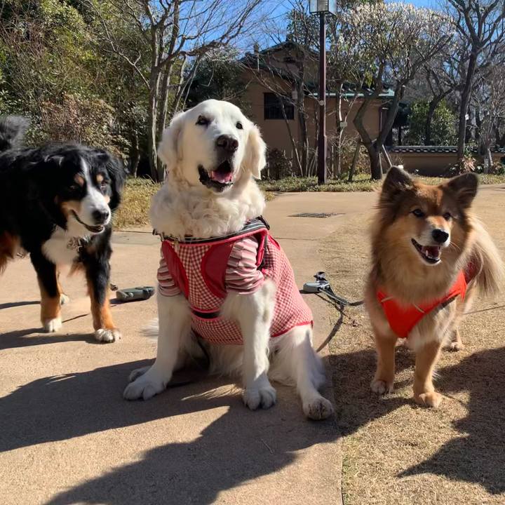 F304f31c fdfe 401b b5b8 1968f5c97c6a 1613635914032