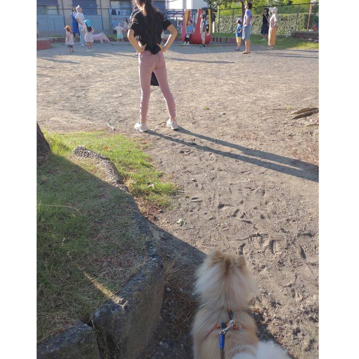 F3052643 2c14 4722 9329 7ba4c513573d 1753395048108