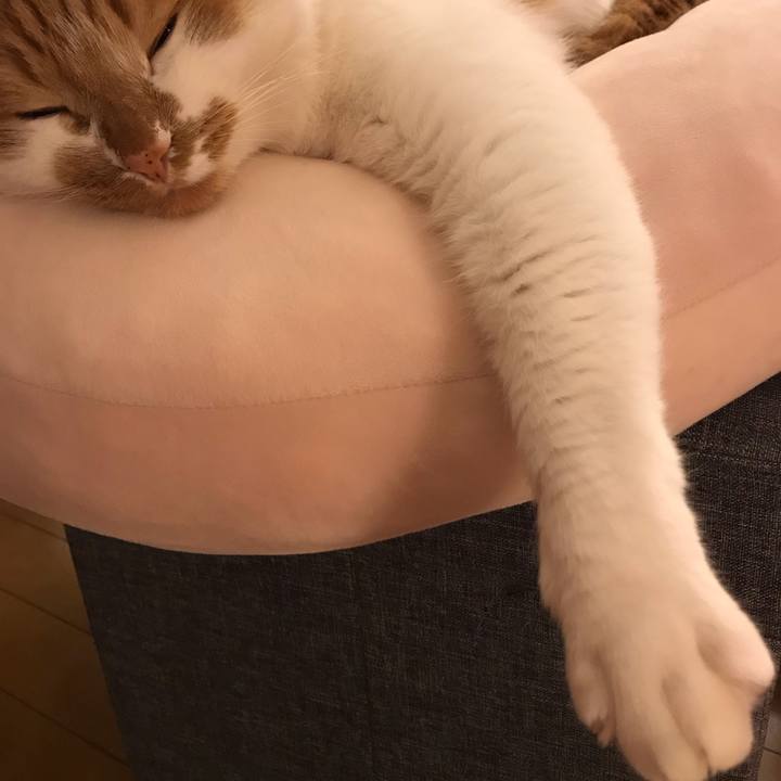 F3057e2e 912b 4699 af98 d764ceca20ca 1551102048789