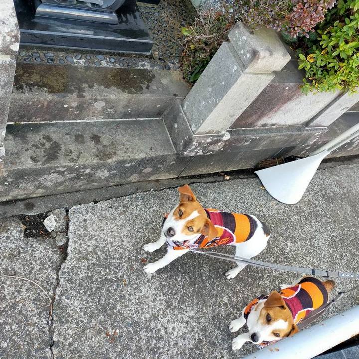 F3058a22 ce9a 4970 83b6 f3c5e71f6a5b 1772871828617