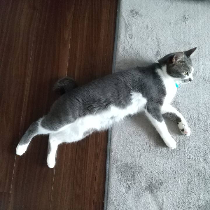 F305c0d2 f126 49e6 9b88 02480f077bd1 1598510313465