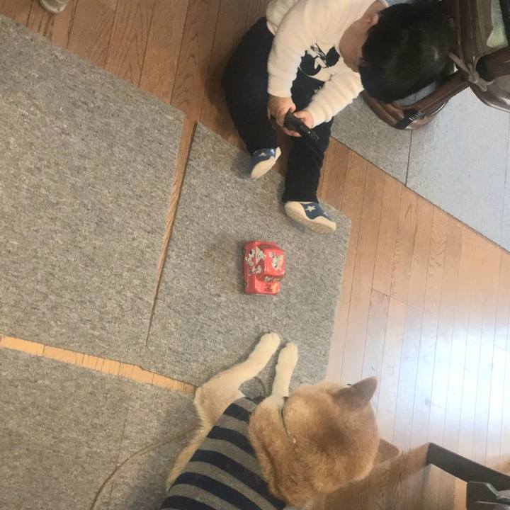 F305e27f 9a77 44e5 9d7d 975957bd59f7 1611368293561