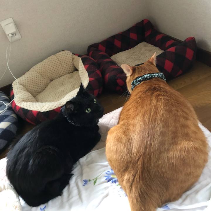 F305e3ac 4602 4970 b513 47a7618506cd 1559855095405