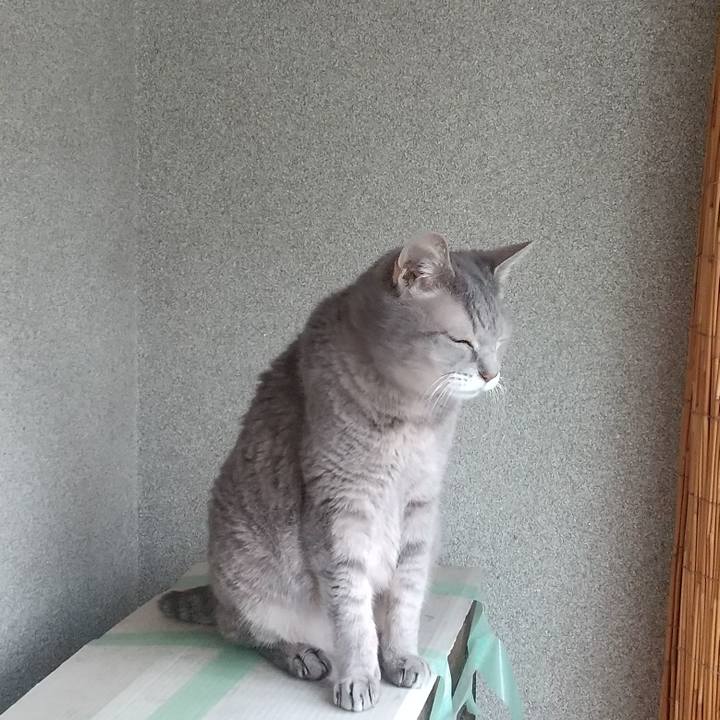 F305e6fa a5db 420c b202 acfeec0e93f5 1694211234976