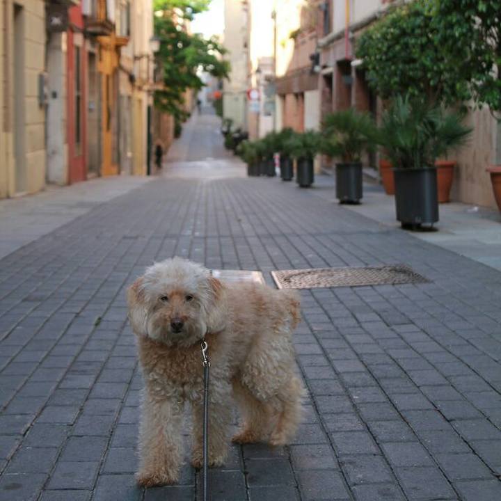 F3060788 465a 466c 9c50 8a629375f0fc 1589553199402