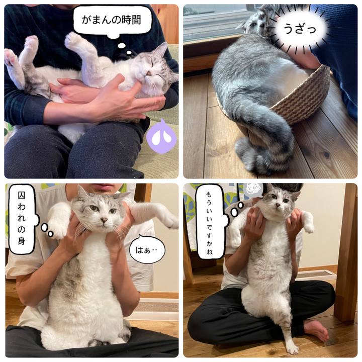 F306153d 9e13 428e b886 d6c03a4b173c 1638272830697