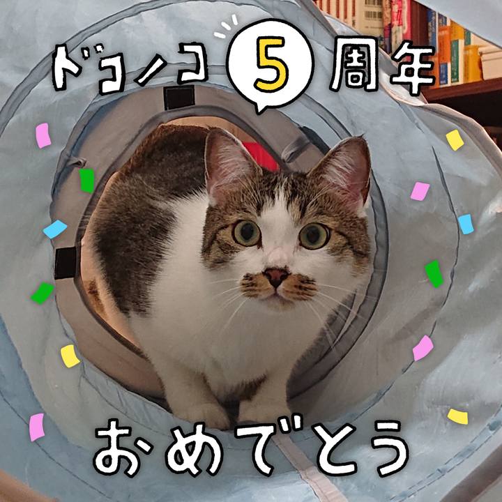 F3063597 d39b 4f92 922a 8acd0a2c0912 1622870340525