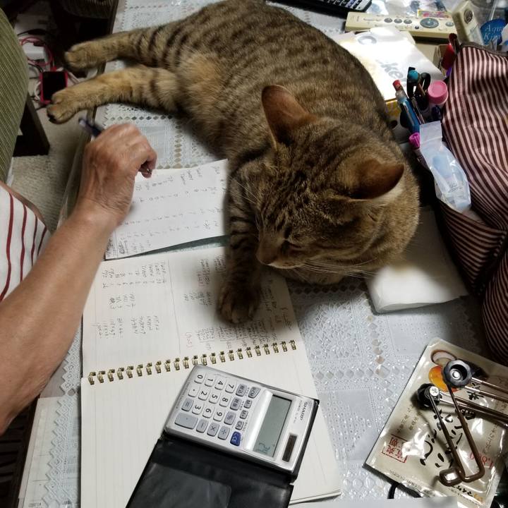 F3063d24 a329 4ace a2e5 59c1c5619ee5 1659107969302