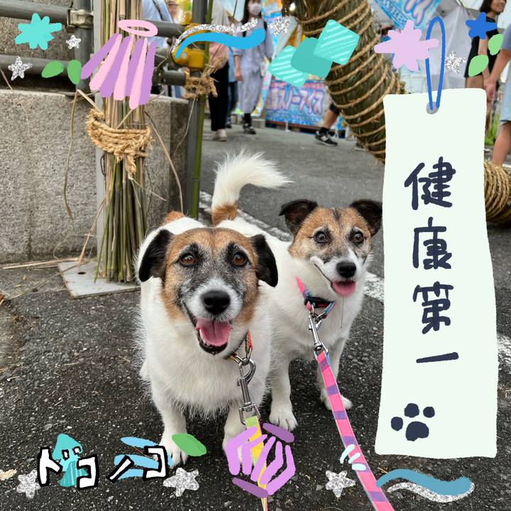 F3065348 048a 489a 991a c3d95f6e05ec 1720772969006