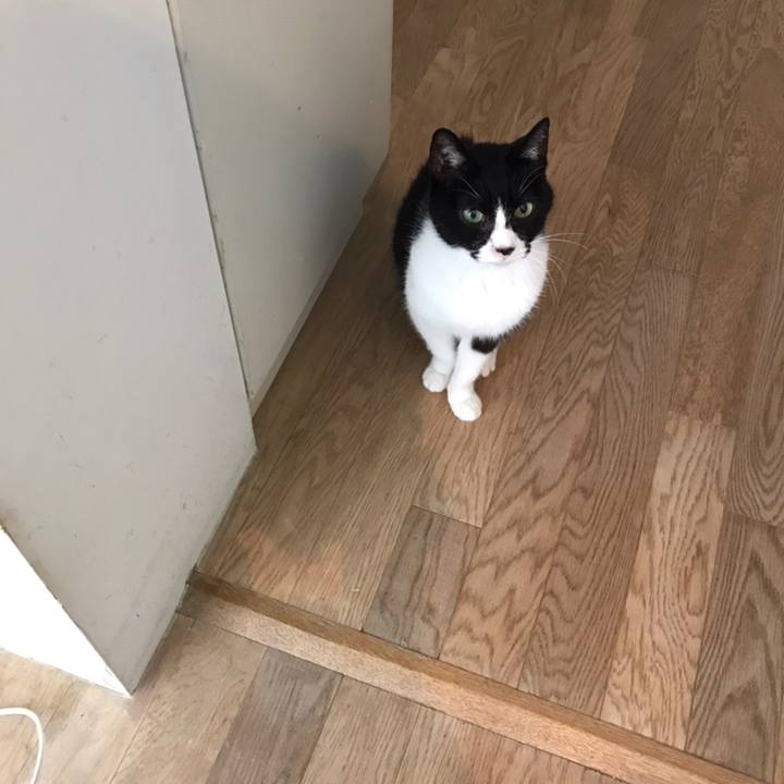 F3068e32 3196 4833 8d43 933d8463f453 1558577926610