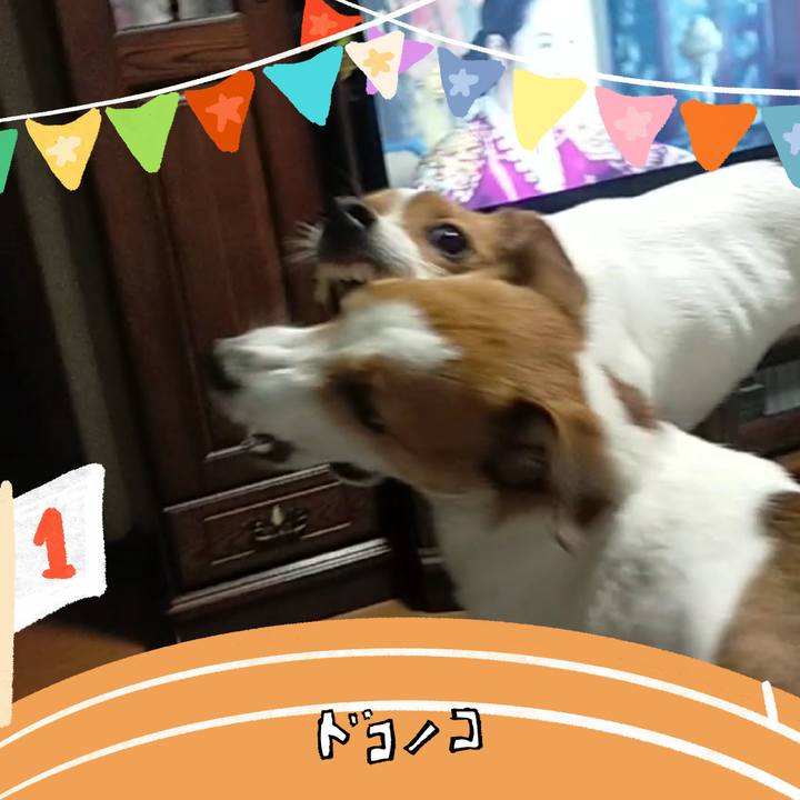 F306a047 c318 40db 993d a10b8edcb8ba 1761112658096