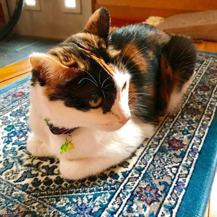 F306aa01 a065 4868 8006 8e5dc8105d79 1537616621307