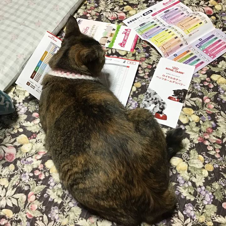 F306c5bf b8c8 42ba 84f6 e4da6d2f6e42 1749720722112