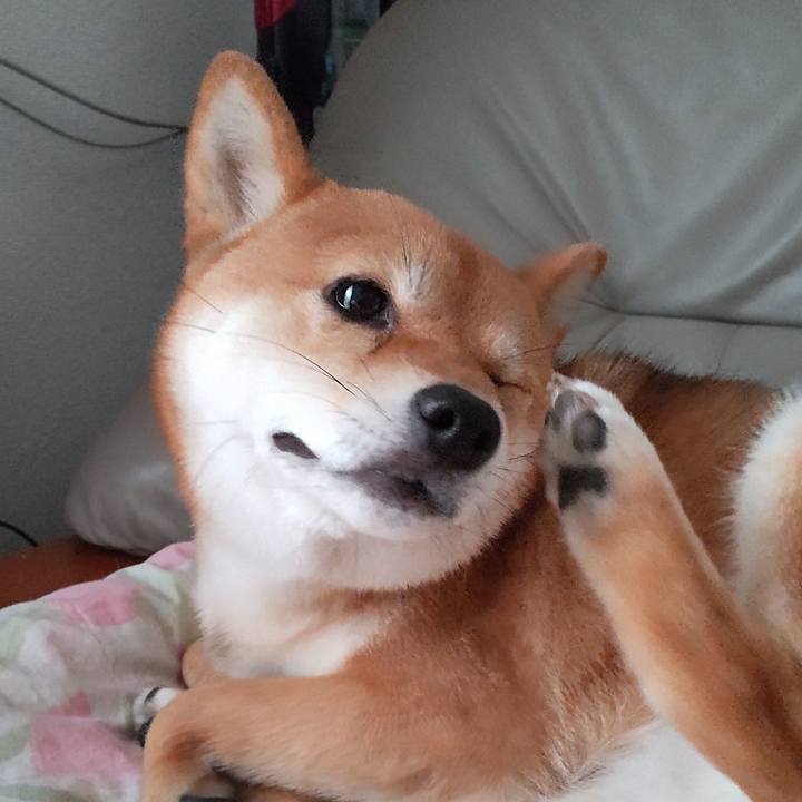 F306e156 24b9 491d 8304 e73e4268986a 1656996102756