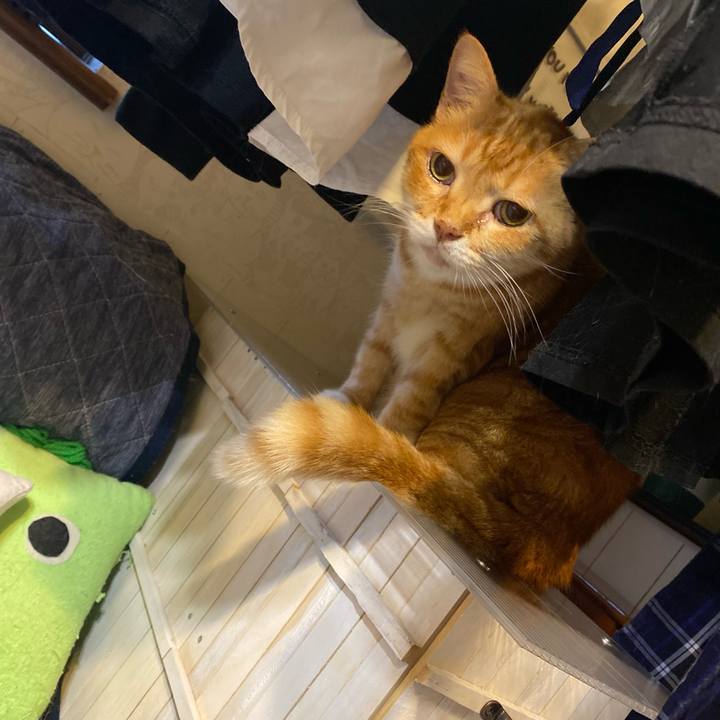 F306ec2f 8958 49c7 9864 1fe1501b9a6e 1633554673353