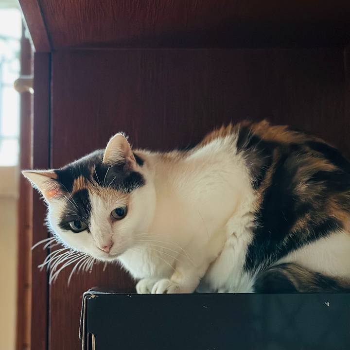 F3073474 66c2 414f b9c7 e50e838cbea7 1696467775749