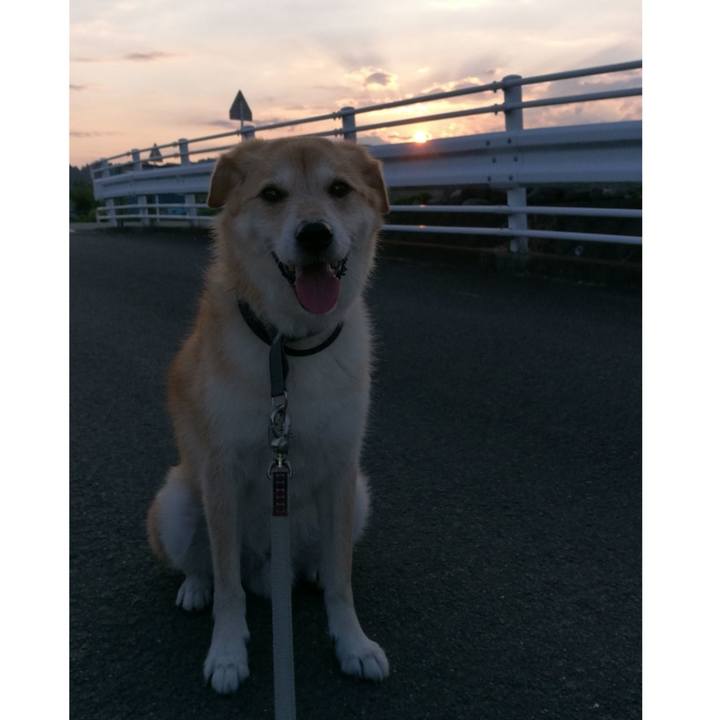 F30745d7 3658 4c55 9e14 5b1437c4147f 1533120462020