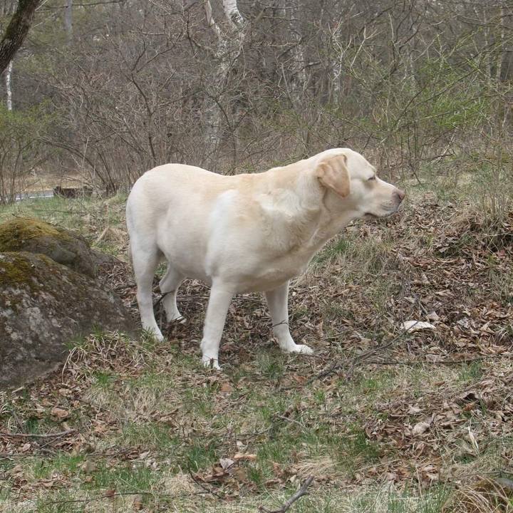 F3079e87 d1f1 4174 a4eb 7755a2cc08db 1558371270778