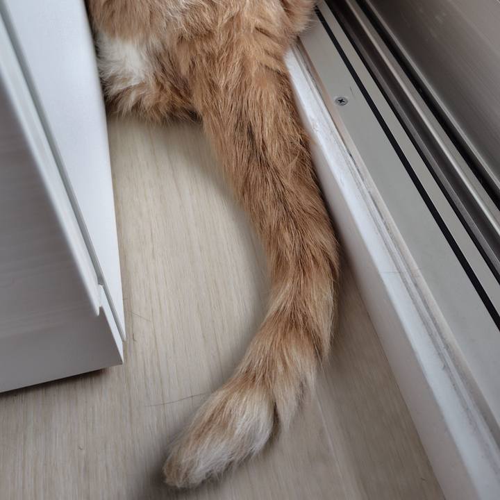 F307ba6a 275f 4566 ae0f 070274cc7d5b 1750805202693