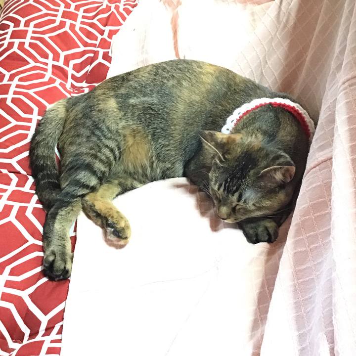 F307e9eb c8e6 4498 9d7a 816481180bb9 1609312825473