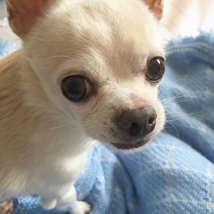 F307fcc2 7b9f 4859 9e27 65cbfbe277bd 1519430265321